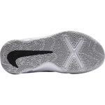 Детские баскетбольные кроссовки Nike Team Hustle D 10 | CW6735-002