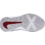 Детские баскетбольные кроссовки Nike Team Hustle D 10 | CW6735-005