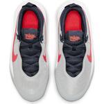 Детские баскетбольные кроссовки Nike Team Hustle D 10 | CW6735-006