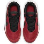 Детские баскетбольные кроссовки Nike Team Hustle D 10 | CW6735-600