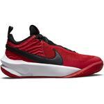 Детские баскетбольные кроссовки Nike Team Hustle D 10 | CW6735-600