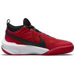 Детские баскетбольные кроссовки Nike Team Hustle D 10 | CW6735-600