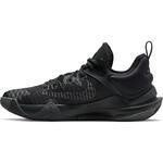 Баскетбольные кроссовки Nike Giannis Immortality | CZ4099-009