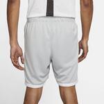 Шорты Jordan Jumpman | CZ4760-077