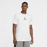 Футболка Jordan Dri-FIT Air | CZ8087-100