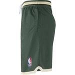Баскетбольные шорты Nike Milwaukee Bucks Courtside DNA | DB1803-323