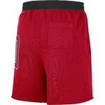 Шорты Nike Chicago Bulls Courtside | DB1945-657