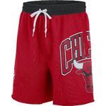 Шорты Nike Chicago Bulls Courtside | DB1945-657