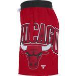 Шорты Nike Chicago Bulls Courtside | DB1945-657