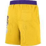 Шорты Nike Los Angeles Lakers Courtside | DB1954-728