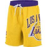 Шорты Nike Los Angeles Lakers Courtside | DB1954-728