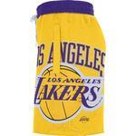 Шорты Nike Los Angeles Lakers Courtside | DB1954-728