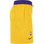 Шорты Nike Los Angeles Lakers Courtside | DB1954-728