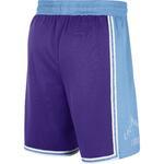 Баскетбольные шорты Nike Los Angeles Lakers City Edition | DB4138-504