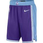 Баскетбольные шорты Nike Los Angeles Lakers City Edition | DB4138-504