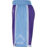 Баскетбольные шорты Nike Los Angeles Lakers City Edition | DB4138-504