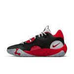 Баскетбольные кроссовки Nike PG 6 | DH8447-003/DC1974-003
