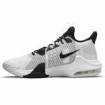 Баскетбольные кроссовки Nike Air Max Impact 3 | DC3725-100