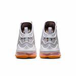 Баскетбольные кроссовки Nike LeBron 19 | DC9341-001