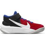 Детские баскетбольные кроссовки Nike Team Hustle D 10 FlyEase | DD7303-005
