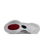 Баскетбольные кроссовки Jordan Zoom Separate | DH0249-001