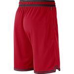 Баскетбольные шорты Nike Chicago Bulls DNA | DH9169-657