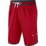 Баскетбольные шорты Nike Chicago Bulls DNA | DH9169-657