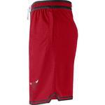 Баскетбольные шорты Nike Chicago Bulls DNA | DH9169-657