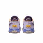 Баскетбольные кроссовки Nike LeBron XX | DJ5422-500/DJ5423-500