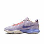 Баскетбольные кроссовки Nike LeBron XX | DJ5422-500/DJ5423-500