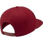 Кепка Jordan Jumpman Pro | DJ6120-677
