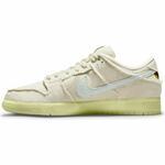 Кроссовки Nike SB Dunk Low Pro Premium | DM0774-111