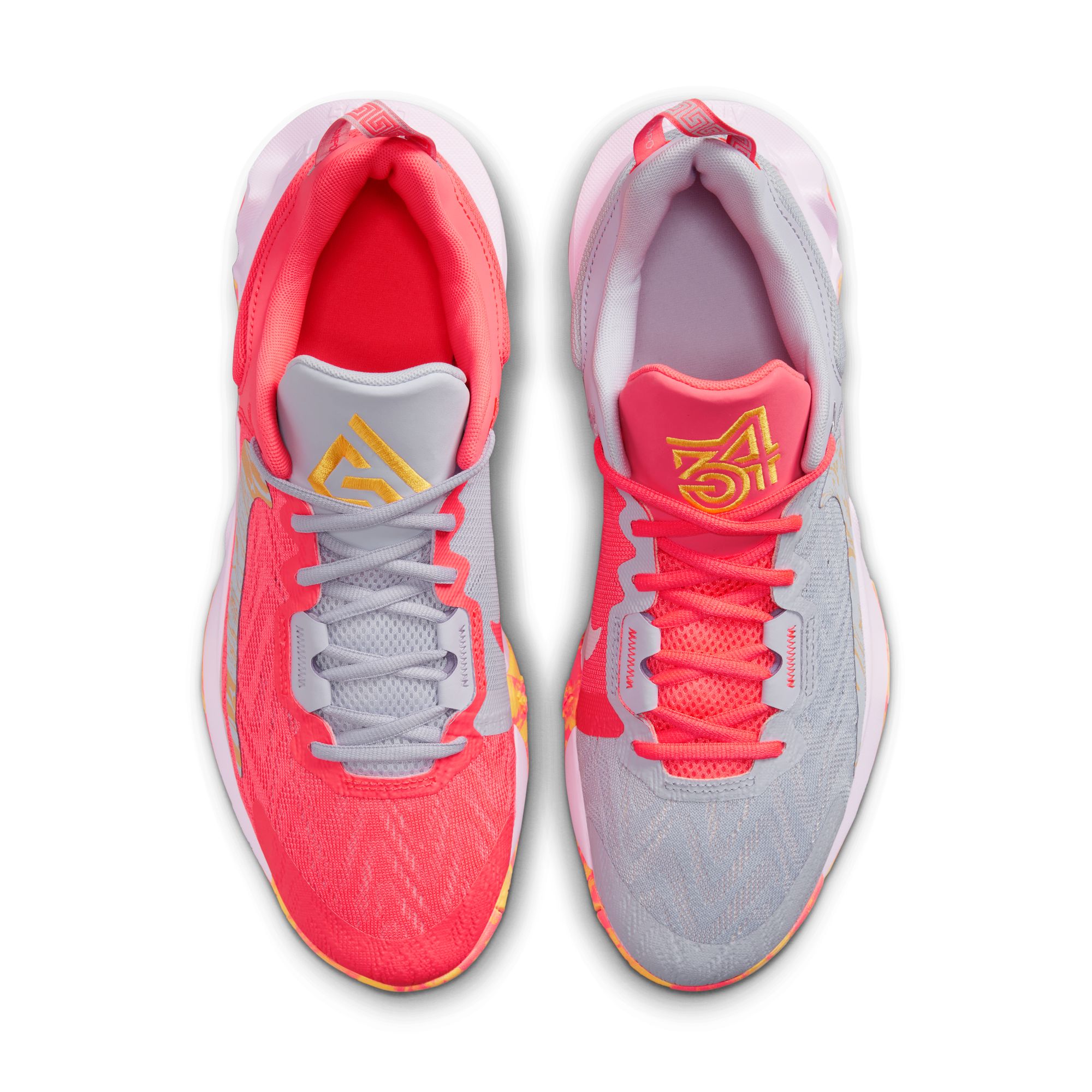 Купить Баскетбольные кроссовки Nike Giannis Immortality 2 | DM0825-600 в Москве или заказать доставку на Slamdunk.su