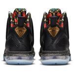 Баскетбольные кроссовки Nike LeBron 9 - картинка