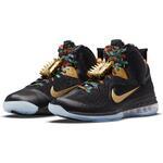 Баскетбольные кроссовки Nike LeBron 9 | DO9353-001