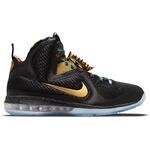 Баскетбольные кроссовки Nike LeBron 9 | DO9353-001