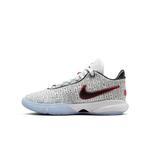 Баскетбольные кроссовки Nike LeBron XX (GS)  | DQ8651-100