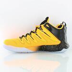 Баскетбольные кроссовки Jordan CP3.IX | 810868-012