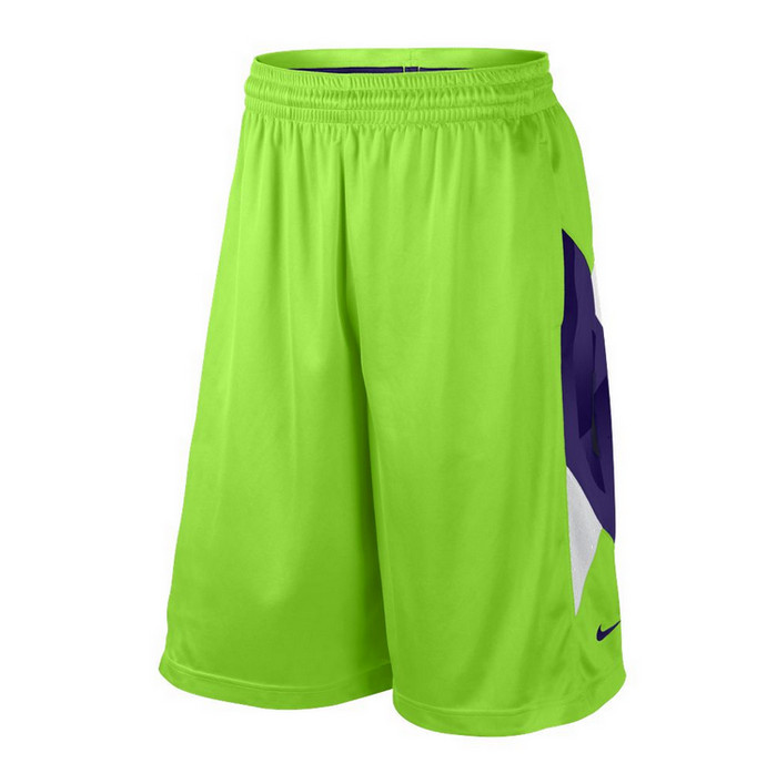 Купить Шорты Nike Lebron Infinite | 545412-310 в Москве или заказать доставку на Slamdunk.su