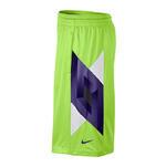 Шорты Nike Lebron Infinite | 545412-310