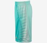 Шорты Nike Elite Wing Basketball Shorts | 645079-405