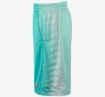 Шорты Nike Elite Wing Basketball Shorts - картинка