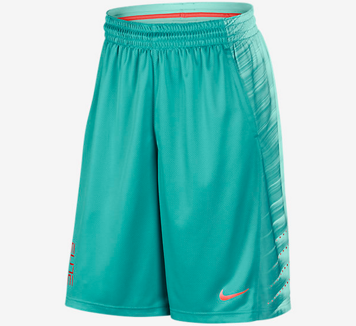 Шорты Nike Elite Wing Basketball Shorts - картинка