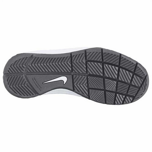 Купить Баскетбольные кроссовки Nike Team Hustle D7 (GS) | 747998-400 в Москве или заказать доставку на Slamdunk.su