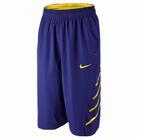 Шорты Nike KOBE VI SHORT | 406059-487