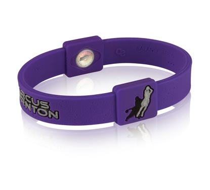 Купить Браслет EFX  | Purple/Grey в Москве или заказать доставку на Slamdunk.su