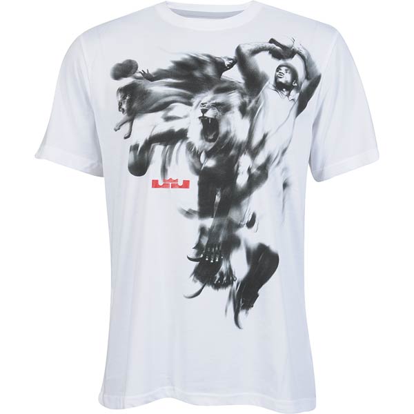 Футболка NIKE LEBRON 3D TEE (HERO) - картинка