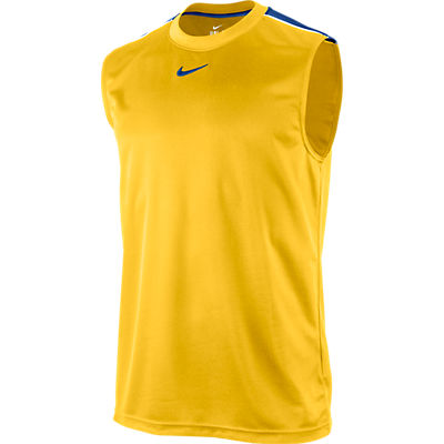 Купить Майка NIKE TEAM DRI FIT SLEEVELESS | 406033-703 в Москве или заказать доставку на Slamdunk.su