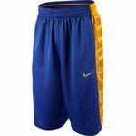 Шорты Nike EQUALIZER SHORT | 450921-488