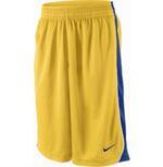 Шорты Nike Team Dri Fit Short | 406034-703